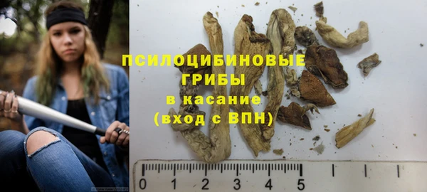 дмт Володарск