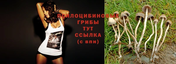 spice Волосово