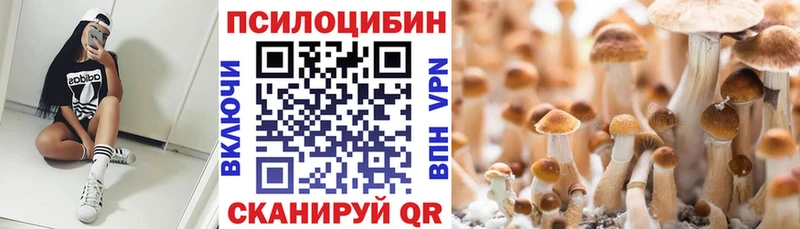 Псилоцибиновые грибы Psilocybine cubensis Оханск
